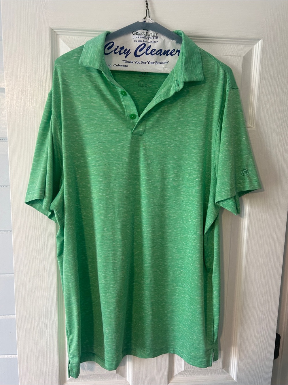 Champion Men's Heathered Mint Green Polo